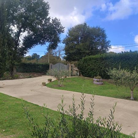 Tenuta Quadrone Cura di Vetralla Exteriör bild