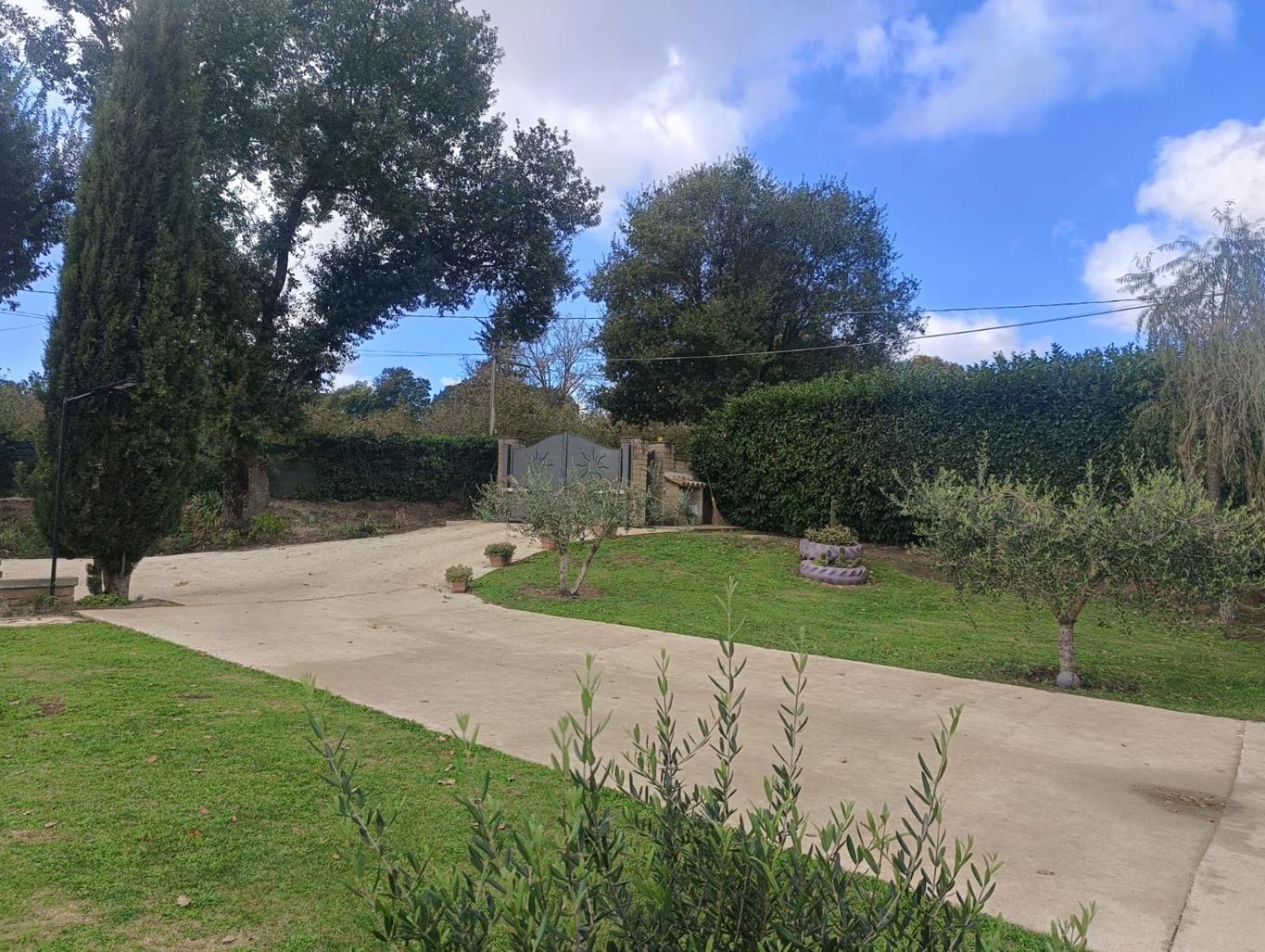 Tenuta Quadrone Cura di Vetralla Exteriör bild